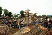 Campeonato del Mundo de Enduro 2009, quinta prueba: Eslovaquia