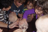 Talleres de Prehistoria para niños en Alicante