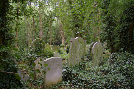 El Cementerio de Highgate, Londres