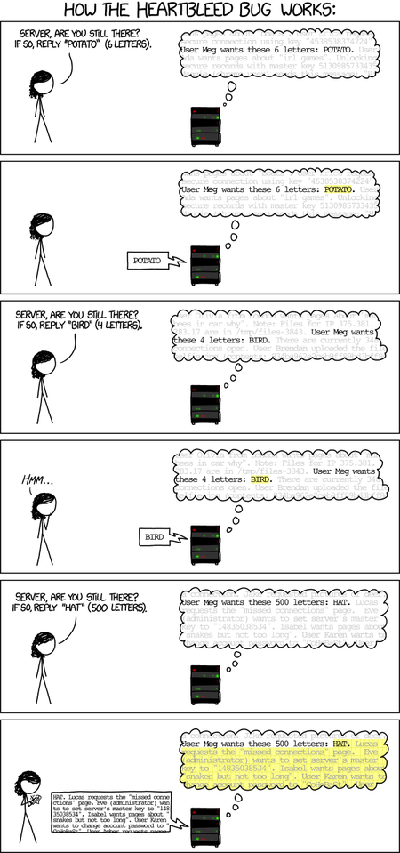 Heartbleed