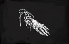 Abalorio De Garra De Zorro