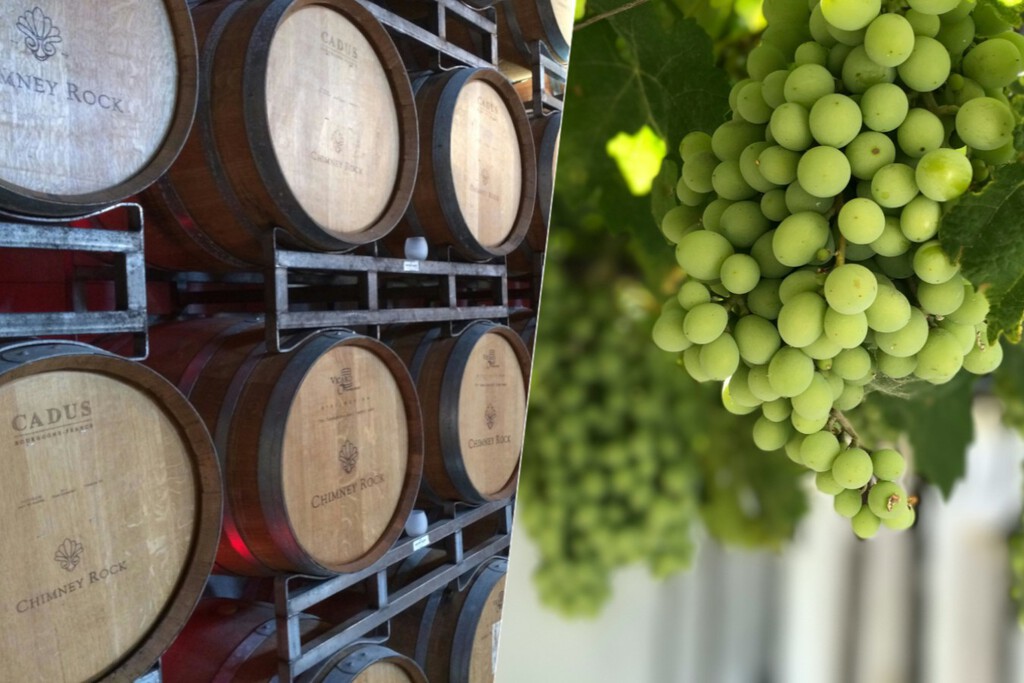 El vino español se las prometía muy felices tras el fin de la sequía. El precio de la uva está cambiándolo todo