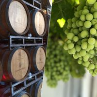 El vino español se las prometía muy felices tras el fin de la sequía. El precio de la uva está cambiándolo todo