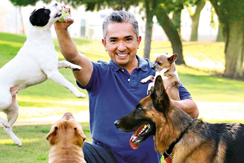 Qué fue de César Millán, de encantador de perros a caer en una