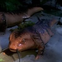 El capítulo más infame de Star Trek: Voyager es también el más querido: cada año recibe un homenaje