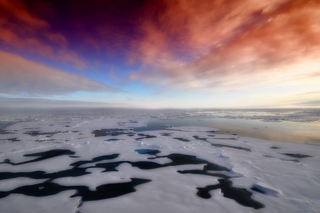 Bacterias vivas en el hielo polar, observadas directamente por primera vez