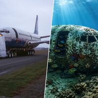Em 2006, um grupo ambientalista afundou um Boeing 737 no fundo do mar; hoje, ele é um enorme recife de coral 