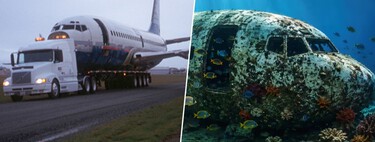 Em 2006, um grupo ambientalista afundou um Boeing 737 no fundo do mar; hoje, ele é um enorme recife de coral 