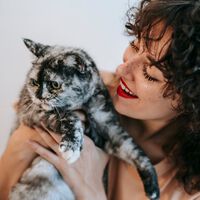 Ni tres días ni un mes: este es el tiempo que tarda un gato en olvidar a su dueño, según estudios científicos 