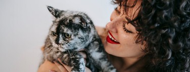Ni tres días ni un mes: este es el tiempo que tarda un gato en olvidar a su dueño, según estudios científicos