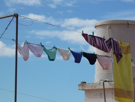 Flower Wind Dry Mast Color Blue 1080230 Pxhere Com