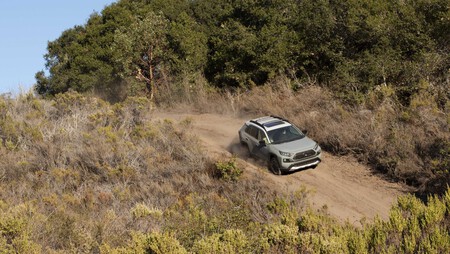 Rav4 Adventure 2019 04