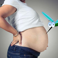 Por qué los mosquitos pican más a las embarazadas y cómo protegerte