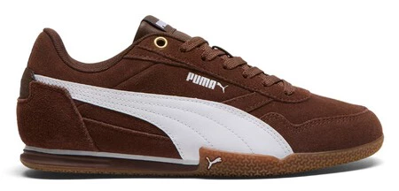Puma2