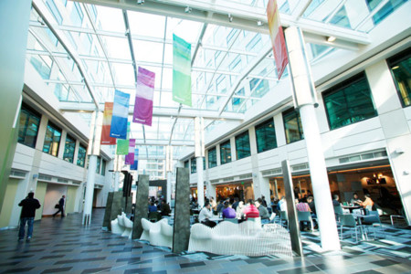 Microsoft cambia y busca reforzarse