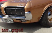 'Guasapeando' al volante, caballos que "mueren" y el mejor club, en box populi (80)