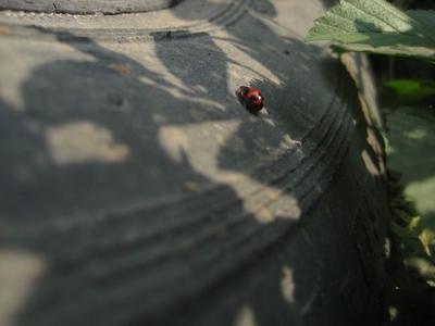 La edad de los neumáticos y su caducidad: mitos y realidades