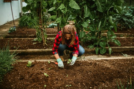 Pexels Helenalopes 27176066