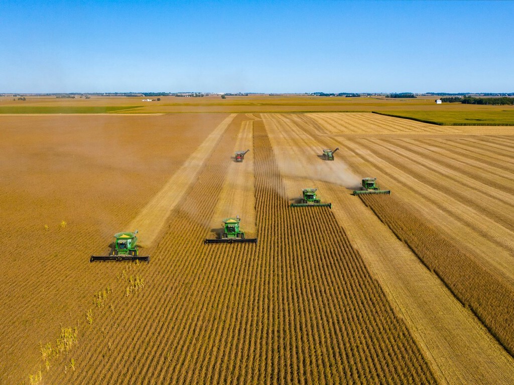Científicos alertan de que el suministro mundial de alimentos está en peligro por culpa de la degradación del suelo