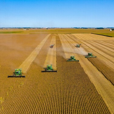 Científicos alertan de que el suministro mundial de alimentos está en peligro por culpa de la degradación del suelo 