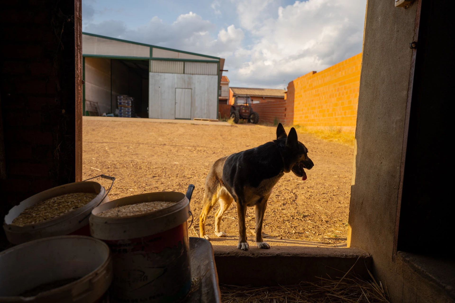 Foto de Sigma 14‑24mm F2.8 DG DN (12/16)