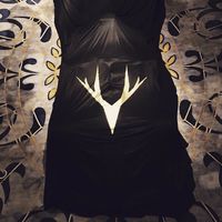 Las “nuevas” marcas que descubrirás gracias a la Fórmula 1 en 2019 