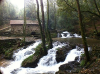 Ruta del Agua y la Piedra. Antiguos molinos cerca de la Ría de Arousa.
