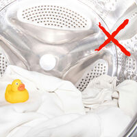 El componente de tu lavadora que causa mal olor en tu ropa y cómo limpiarlo en solo cinco minutos