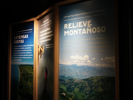 Maloka Latidos De Colombia 4