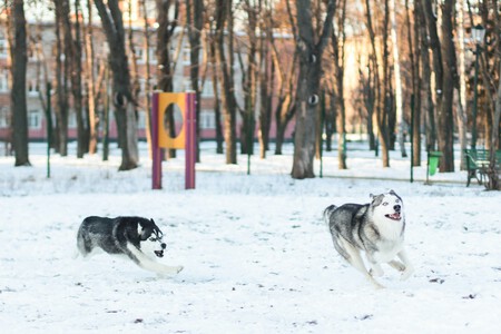Pexels Kateryna Babaieva 3715581