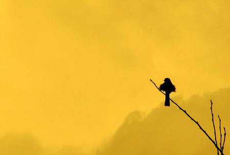 Trabajar en negro: repercusiones y consecuencias