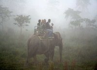 El mejor lugar del mundo para contemplar tigres