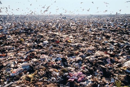 Fresh Kills