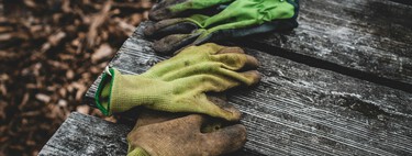 Estas son las plantas y árboles que puedes podar (y no) en agosto para presumir un jardín de diseño