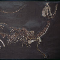 DNA tem prazo de validade: a barreira intransponível que torna Jurassic Park impossível, segundo a ciência