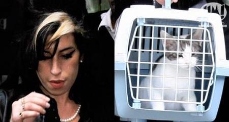 Amy Winehouse: la loca de los gatos