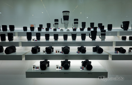 El mercado japonés de cámaras digitales con sensor full frame empieza a notar los últimos lanzamientos de Canon y Nikon