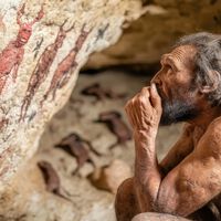 Pensávamos que o crescimento definia o gênero 'Homo' desde o seu início, mas nova análise mostra que estávamos enganados 