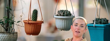 Expertos en jardinería: “Elegir una maceta solo porque queda bonita puede ser un error”