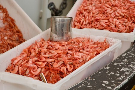 Crustaceos