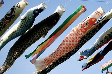 carpas Japón