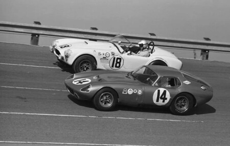 Shelby3