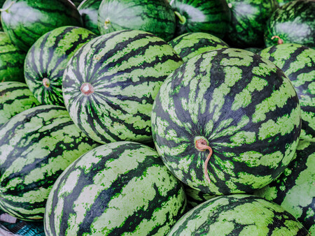 Sandias