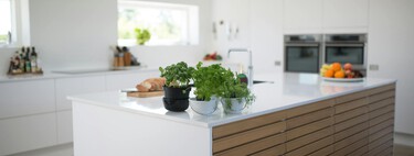 Así se elimina la suciedad de la cocina y los electrodomésticos. Y no hace falta ir a comprar nada al supermercado