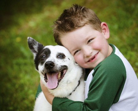 Mordiscos y arañazos de mascotas: cómo curarlas y qué precauciones tomar para evitarlas