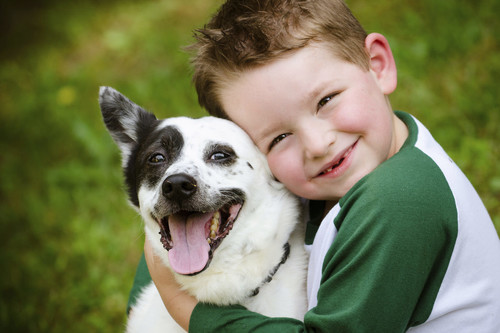 Mordiscos y arañazos de mascotas: cómo curarlas y qué precauciones tomar para evitarlas