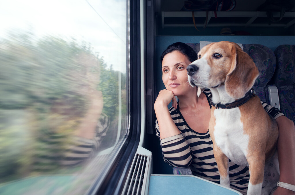 Qué tener en cuenta a la hora de viajar en tren por España con nuestro perro 