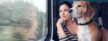 Qué tener en cuenta a la hora de viajar en tren por España con nuestro perro 
