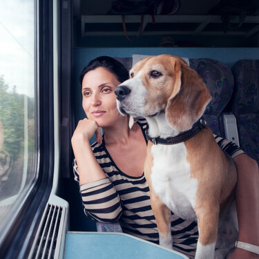 Qué tener en cuenta a la hora de viajar en tren por España con nuestro perro 