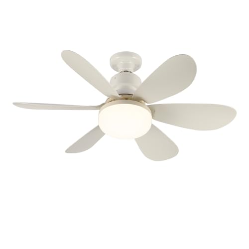 wonderlamp - Ventilador o Bombilla de techo LED Altari E27